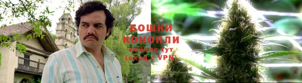 гашик Зерноград