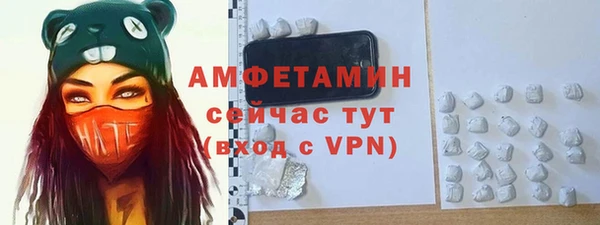 мдпв Заводоуковск