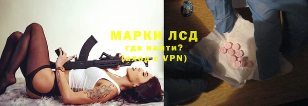 гашик Зерноград