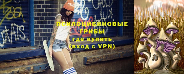 трава Заволжск
