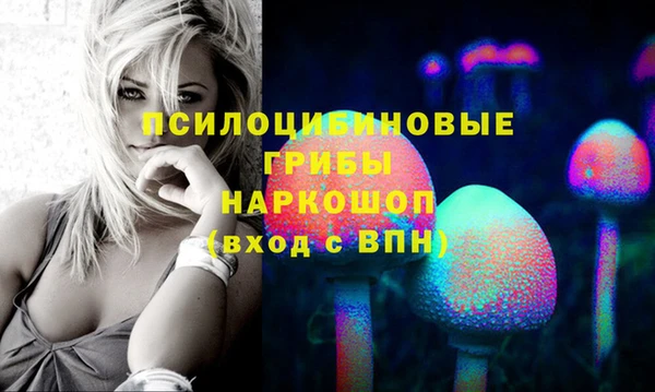 трава Заволжск