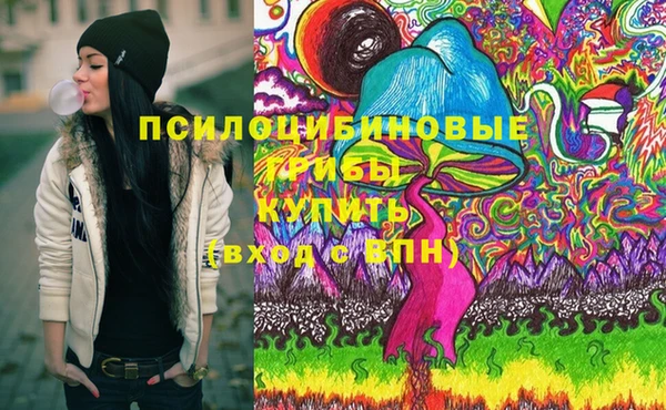 гашик Зерноград