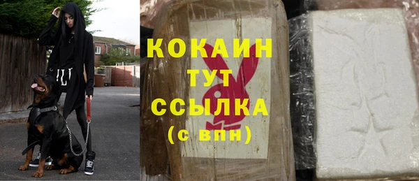 хмурый Зеленокумск