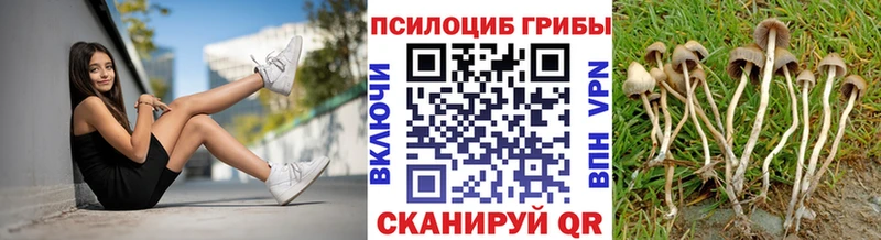Галлюциногенные грибы Cubensis Купить Каменногорск